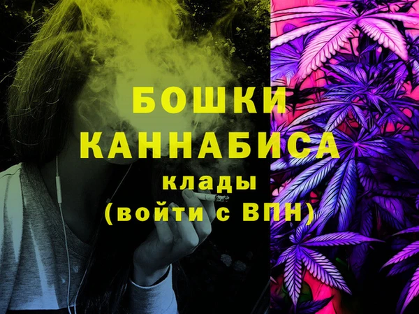 молекула духа Снежинск