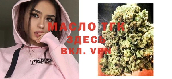 молекула духа Снежинск