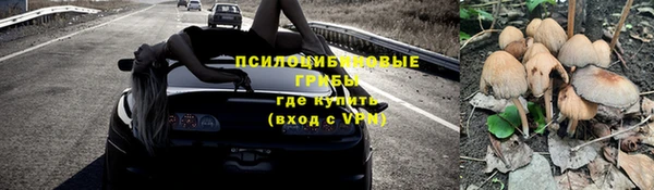 соль курить ск Сосновка